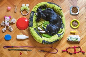 Vente spéciale "Animalerie : matériel et accessoires" à la Ressourcerie