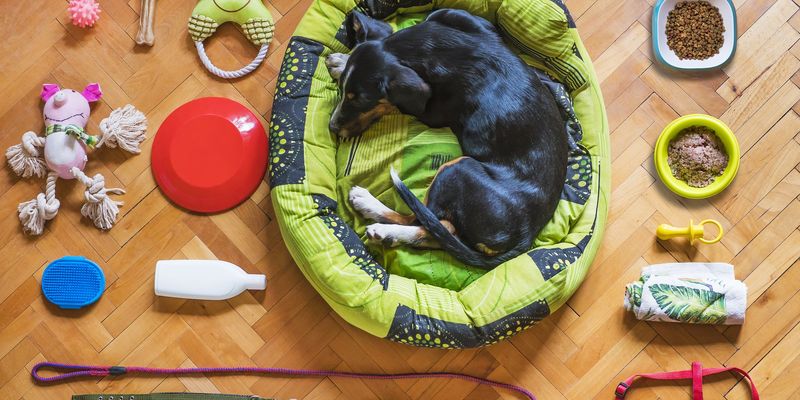 Vente spéciale "Animalerie : matériel et accessoires" à la Ressourcerie