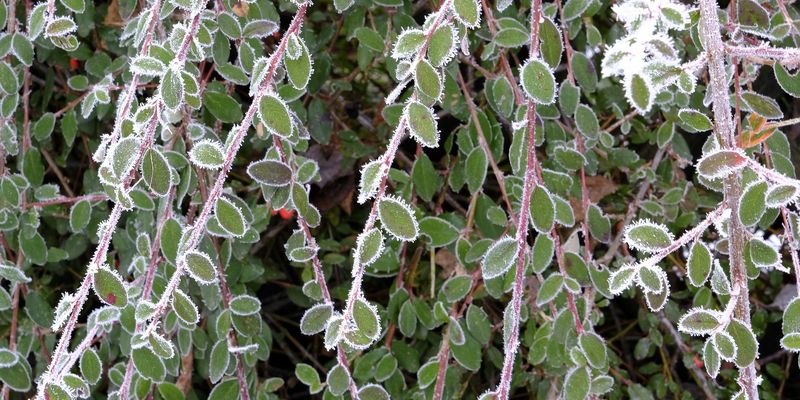 Vente spéciale "dernier coup de froid" à la Ressourcerie