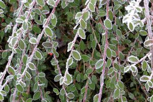 Vente spéciale "dernier coup de froid" à la Ressourcerie