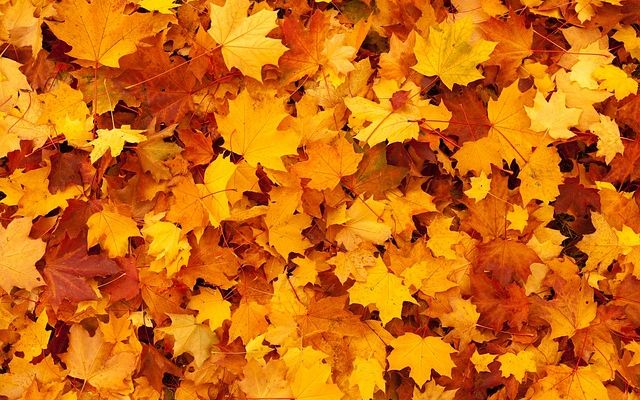 Vente spéciale "Manteaux de saison" à la Ressourcerie